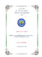 Nghiên cứu quy trình phát triển sản phẩm mới tại k group,việt nam 