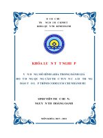 Vận dụng mô hình AIDA trong đánh giá hoạt động quảng cáo trực tuyến của hệ thống đào tạo lập trình codegym chi nhánh huế 