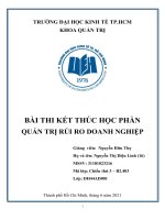 Tiểu luận quản trị rủ ro trong doanh nghiệp | Đại học UEH | Tiểu luận cuối kỳ
