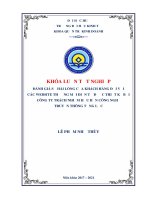 Đánh giá sự hài lòng của khách hàng đối với các website thương mại điện tử được thiết kế bởi công ty TNHH công nghệ truyền thông tổng lực 