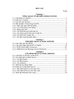 CẤU HÌNH DỊCH VỤ MAILSERVER CHO PHÉP GỬI  NHẬN TRÊN WEBMAIL VÀ TRÊN SOFTMAIL