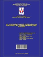 Xây dựng website và phát triển chiến lược kinh doanh cho cửa hàng online phụ kiện thú cưng 