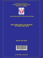 Điều khiển trượt cho hệ bóng và thanh trục lệch 