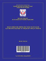 Hoàn thiện hệ thống dự toán ngân sách tại trường đại học sư phạm kỹ thuật tp  hồ chí minh 