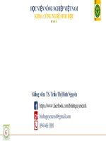 Bài giảng Sinh học người và động vật: Sinh lý hệ hô hấp - TS. Trần Thị Bình Nguyên