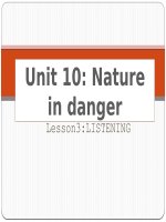 Unit 10 Nature in danger