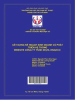 Xây dựng kế hoạch kinh doanh và phát triển hệ thống website công ty TNHH nhựa vina eco 