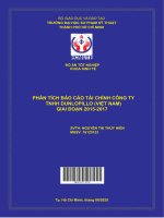 Phân tích báo cáo tài chính công ty TNHH dunlopillo (việt nam) giai đoạn 2015   2017 