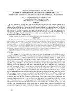 Giải pháp phát triển du lịch MICE thành phố Đà Nẵng