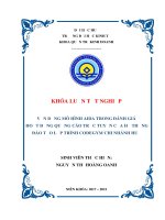 Khóa luận tốt nghiệp Marketing: Vận dụng mô hình aida trong đánh giá hoạt động quảng cáo trực tuyến của hệ thống đào tạo lập trình Codegym chi nhánh Huế