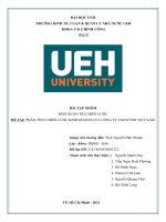 PHÂN TÍCH CHIẾN LƯỢC KINH DOANH CỦA CÔNG TY UNILEVER VIỆT NAM 