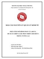 PHÂN TÍCH MÔ HÌNH SWOT CỦA BITI’S, đề XUẤT CHIẾN LƯỢC PHÁT TRIỂN CHO BITI’S TRONG TƯƠNG LAI 