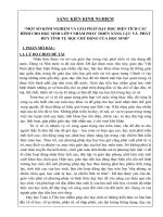 Tài liệu Một số kinh nghiệm và giải pháp dạy học diện tích các hình cho học sinh lớp 5 nhằm phát triển năng lực và phát huy tính tự