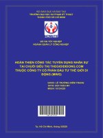 HOÀN THIỆN CÔNG tác TUYỂN DỤNG NHÂN sự tại CHUỖI SIÊU THỊ THEGIOIDIDONG COM THUỘC CÔNG TY cổ PHẦN đầu tư THẾ GIỚI DI ĐỘNG (MWG) 