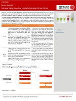 Báo cáo chuyên đề Triển Vọng Thương Mại và Dòng Vốn Đầu Tư Nước Ngoài (FDI) vào Việt Nam