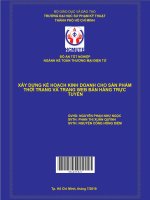 Xây dựng kế hoạch kinh doanh sản phẩm thời trang và website bán hàng trực tuyến healing boutique 