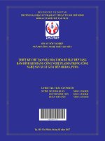 Thiết kế chế tạo máy hoạt hóa bề mặt dép tăng bám dính keo bằng công nghệ plasma trong công nghệ sản xuất giày dép adidas, puma 