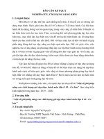 Một số giải pháp nâng cao chất lượng giờ dạy thực hành môn Địa lí 10 - Cơ bản