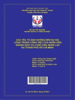 CÁC yếu tố ẢNH HƯỞNG đến sự hài LÒNG TRONG CÔNG VIỆC của NHÂN VIÊN NGÀNH DỊCH vụ CUNG ỨNG NHÂN lực tại THÀNH PHỐ hồ CHÍ MINH 