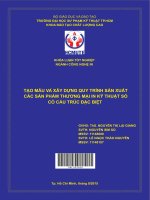 Tạo mẫu và xây dựng quy trình sản xuất các sản phẩm thương mại in kỹ thuật số có cấu trúc đặc biệt 
