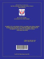 Nghiên cứu giải pháp nâng cao hiệu quả hoạt động marketing online của thương hiệu thời trang gushop vn tại công ty cổ phần SVMUA (giai đoạn 2016 2018) 