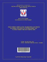 Phát triển chiến lược marketing sản phẩm panadol tại công ty cổ phần hợp tác và phát triển truyền thông NBN 