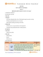 giao-an-hoat-dong-trai-nghiem-lop-1-sach-chan-troi-sang-tao-1