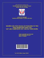 Nghiên cứu tách silica và than đen từ tro trấu nhằm ứng dụng tạo vật liệu composite với cao su thiên nhiên 