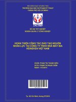 Hoàn thiện công tác đào tạo nguồn nhân lực tại công ty TNHH nhà máy bia heineken việt nam 