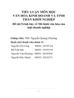 Tiểu luận Trình bày về Mô hình văn hóa của một doanh nghiệp