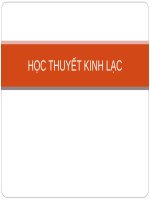 Bài giảng dược học cổ truyền - Học thuyết kinh lạc