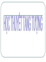 Bài giảng dược học cổ truyền - Học thuyết tạng tượng