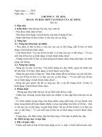 Kế hoạch bài dạy (giáo án) môn khoa học tự nhiên phần sinh học (bộ sách kết nối tri thức)