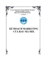 KẾ HOẠCH MARKETING CỦA RAU MÁ MIX