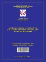 Nghiên cứu sử dụng tro trấu và tro bay tại vùng đồng bằng sông cửu long để chế tạo bê tông nhẹ 