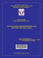 Chế tạo và điều khiển mô hình phân loại sản phẩm theo khối lượng 