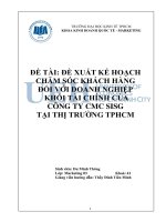 ĐỀ XUẤT KẾ HOẠCH CHĂM SÓC KHÁCH HÀNG ĐỐI VỚI DOANH NGHIỆP KHỐI TÀI CHÍNH CỦA CÔNG TY CMC SISG TẠI THỊ TRƯỜNG TPHCM