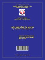 Hoàn thiện công tác đào tạo tại công ty TNHH bosch VN 