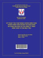 Kỹ thuật thu thập bằng chứng kiểm toán trong kiểm toán kinh doanh thu bán hàng và cung cấp dịch vụ tại công ty TNHH kiểm toán tư vấn mục tiêu 