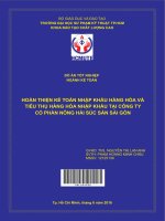 Hoàn thiện kế toán nhập khẩu hàng hóa và tiêu thụ hàng hóa nhập khẩu tại công ty cổ phần nông hải súc sản sài gòn 