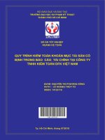 Quy trình kiểm toán khoản mục tài sản cố định trong báo cáo tài chính tại công ty TNHH kiểm toán DFK việt nam 