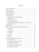 Một số giải pháp rèn luyện kỹ năng làm việc nhóm góp phần hình thành và phát triển năng lực hợp tác cho học sinh thông qua dạy học môn toán 10 