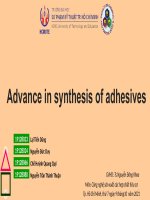 Nhóm 5 - Đề tài 8 - Advance in synthesis of organic adhesive