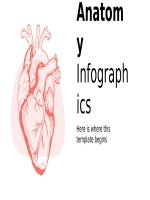 Anatomy Infographics by Slidego