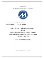 BÁO CÁO THỰC HÀNH NGHỀ NGHIỆP 1 ĐỀ TÀI PHÂN TÍCH CHIẾN LƯỢC CHIÊU THỊ CỦA CÔNG TY TNHH NƯỚC GIẢI KHÁT SUNTORY PEPSICO VIỆT NAM