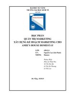 Dịch vụ lưu trú của amie’s house homestay cho khách du lịch trong nước tại thị trường thành phố đà nẵng