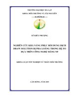 LUẬN văn  21 05 end