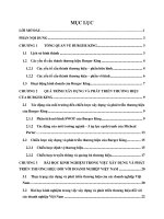 Quá trình xây dựng và phát triển thương hiệu của Burger King