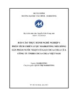 Phân tích chiến lược Marketingmix đối với sản phẩm nước ngọt có gas CocaCola của công ty TNHH CocaCola Việt Nam