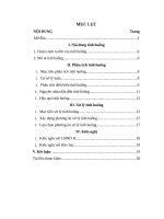 Tiểu luận chương trình chuyên viên đề tài xâm lấn rừng